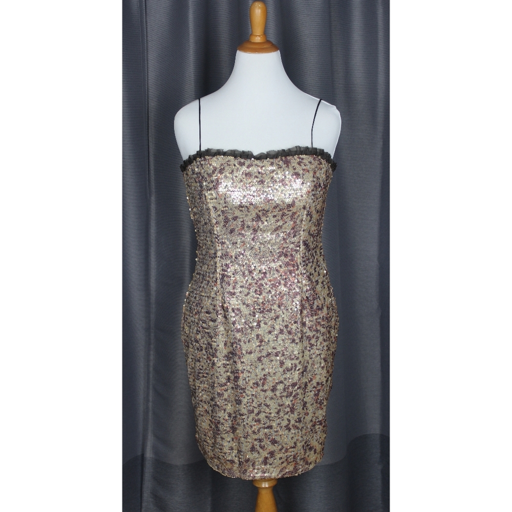 Hoaglund Sequin Dress